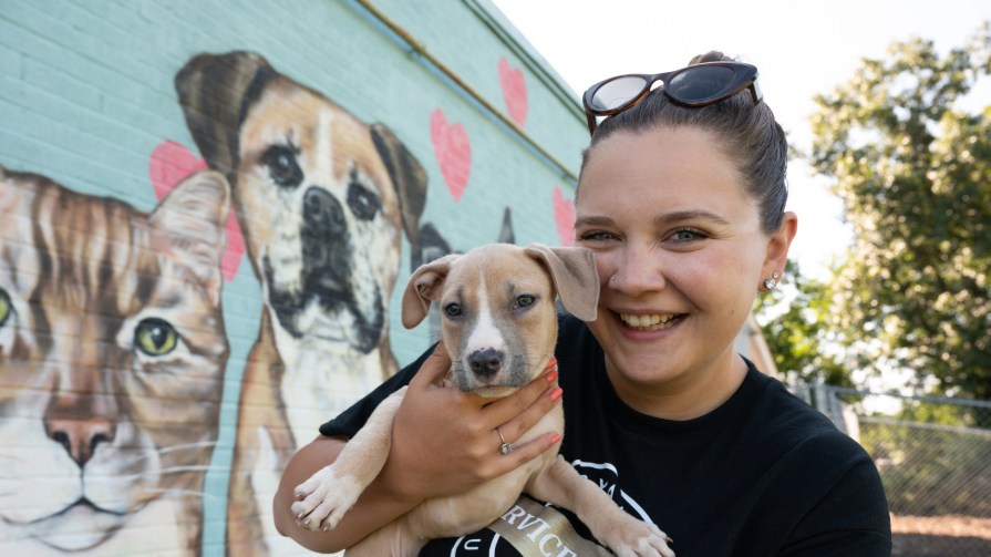 Paige Zuber, Bryant University's assistant director of social media marketing holds a puppy at the Hotel for Homeless Dogs in Cumberland, RI